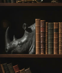 Rhinoceros Head Bookends