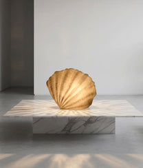 Scallop Shell Coral Lamp