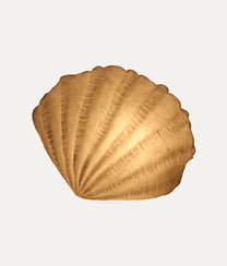 Scallop Shell Coral Lamp