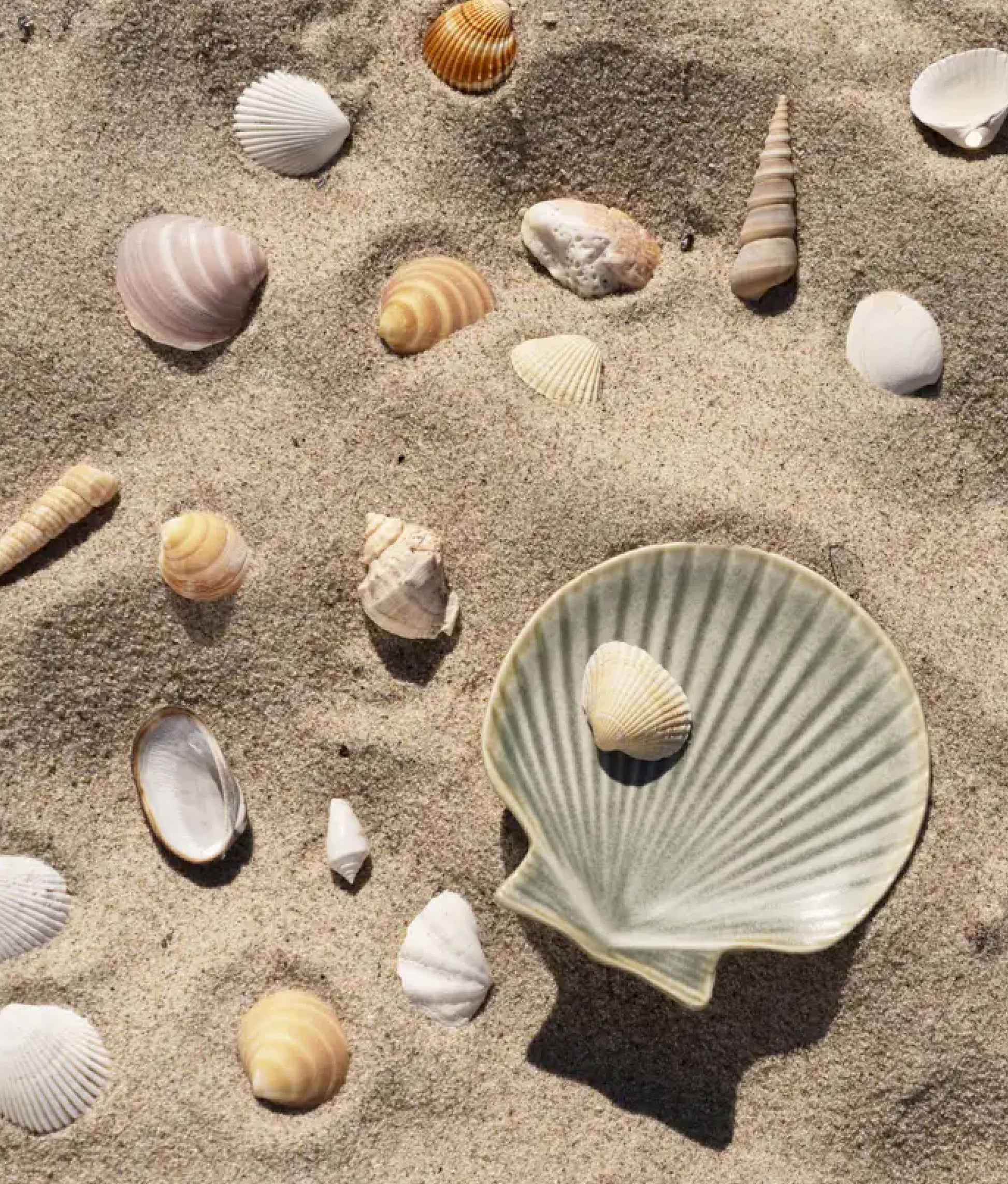 Green Stoneware Sea Shell Tray Small