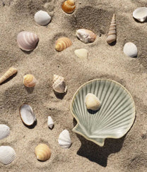 Green Stoneware Sea Shell Tray Small