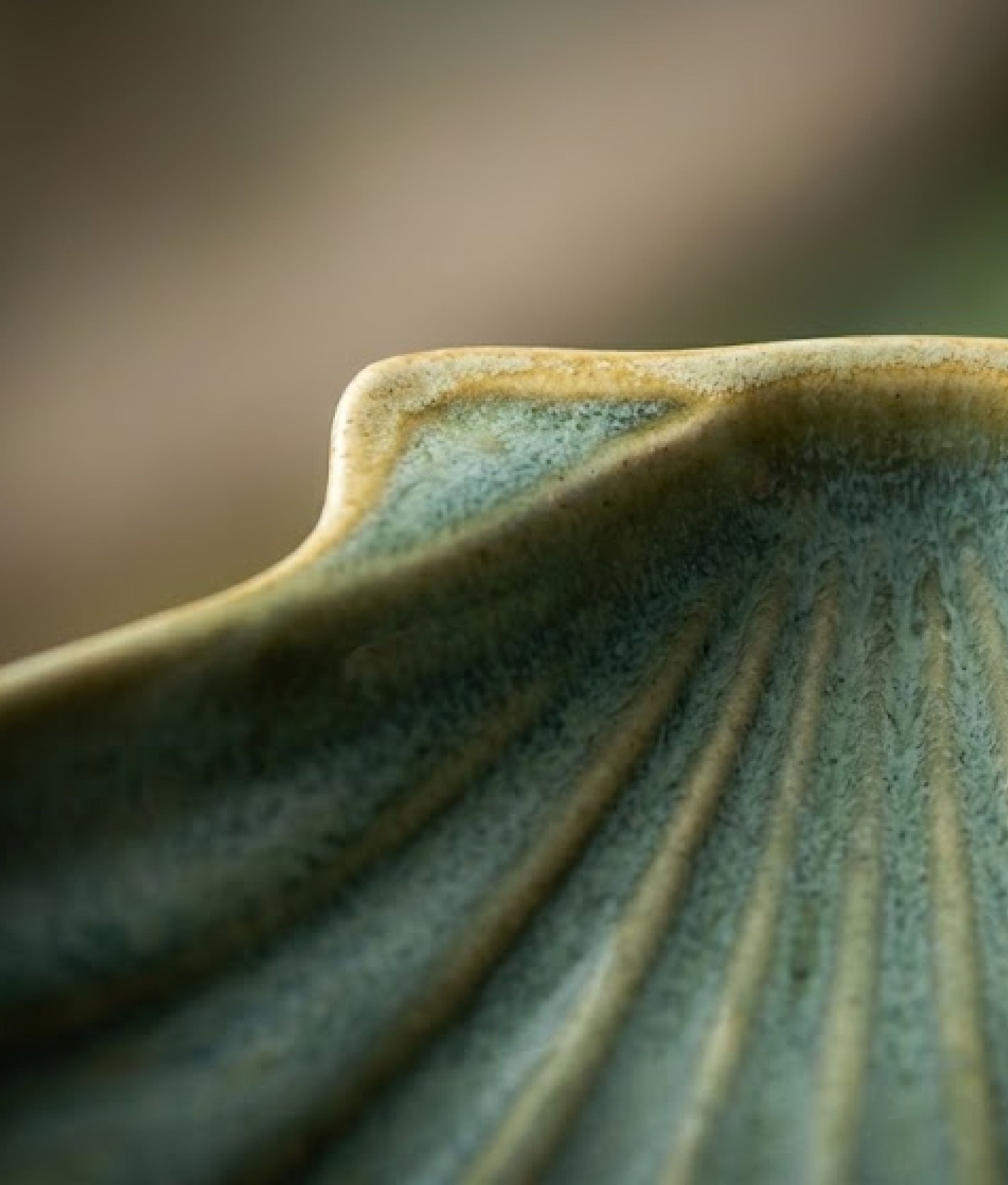 Green Stoneware Sea Shell Tray Medium