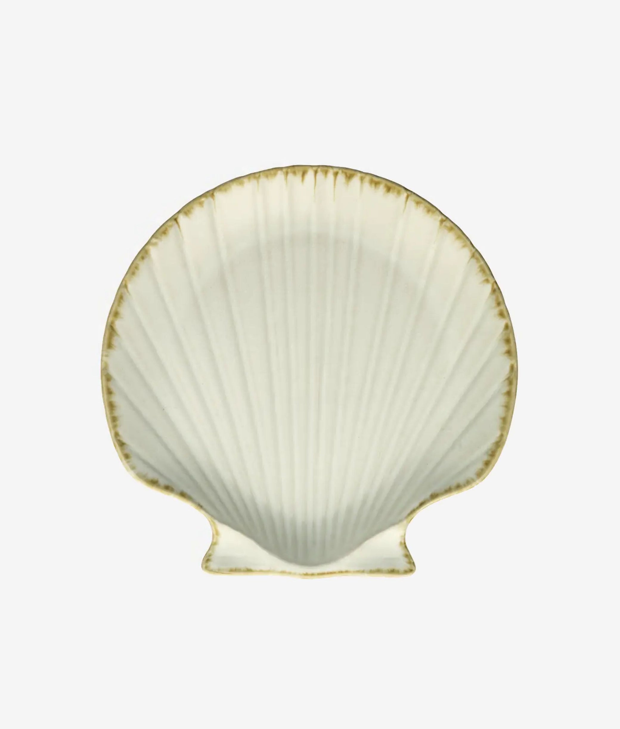 Off White Stoneware Sea Shell Tray Medium