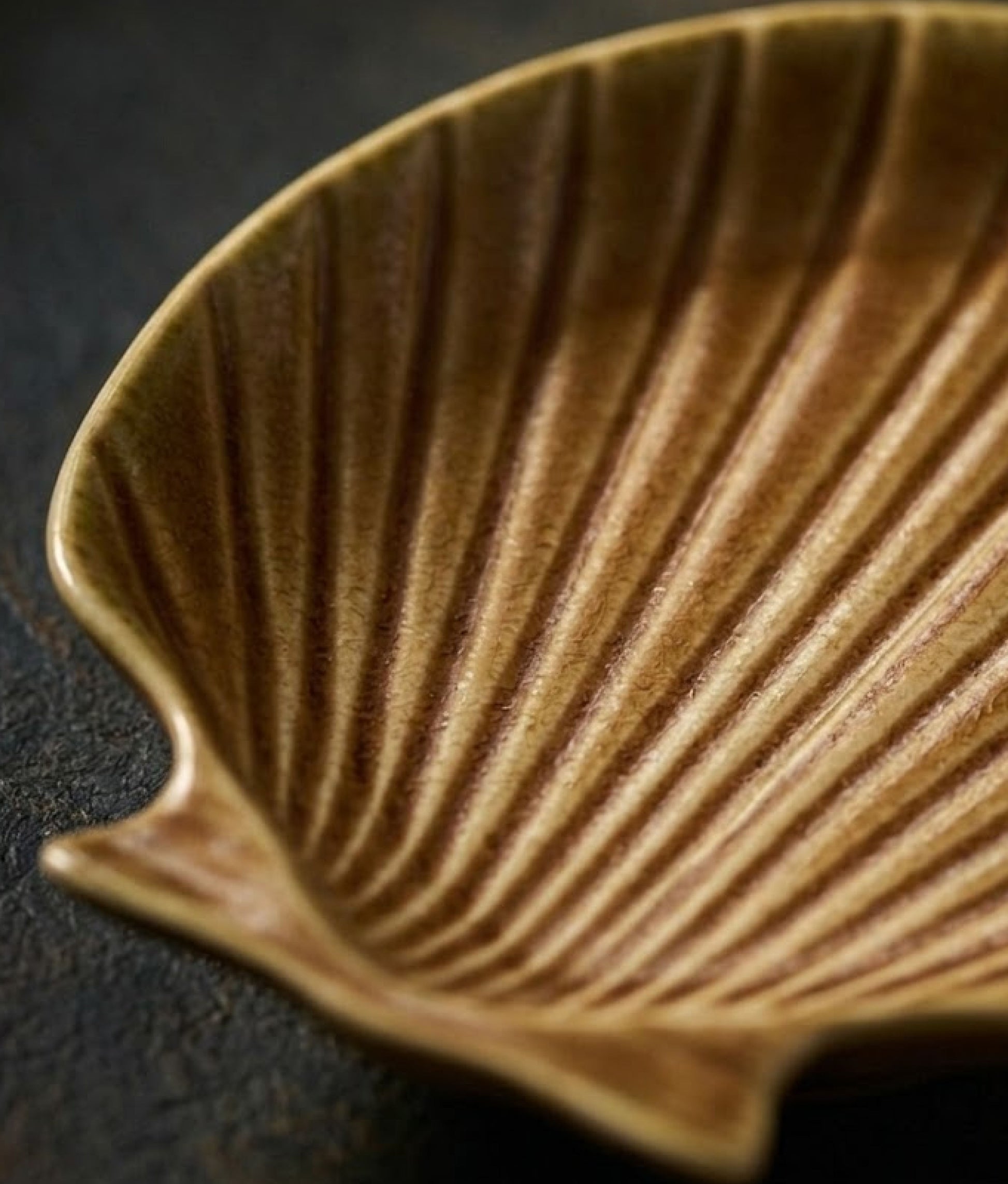 Orange Stoneware Sea Shell Tray Medium