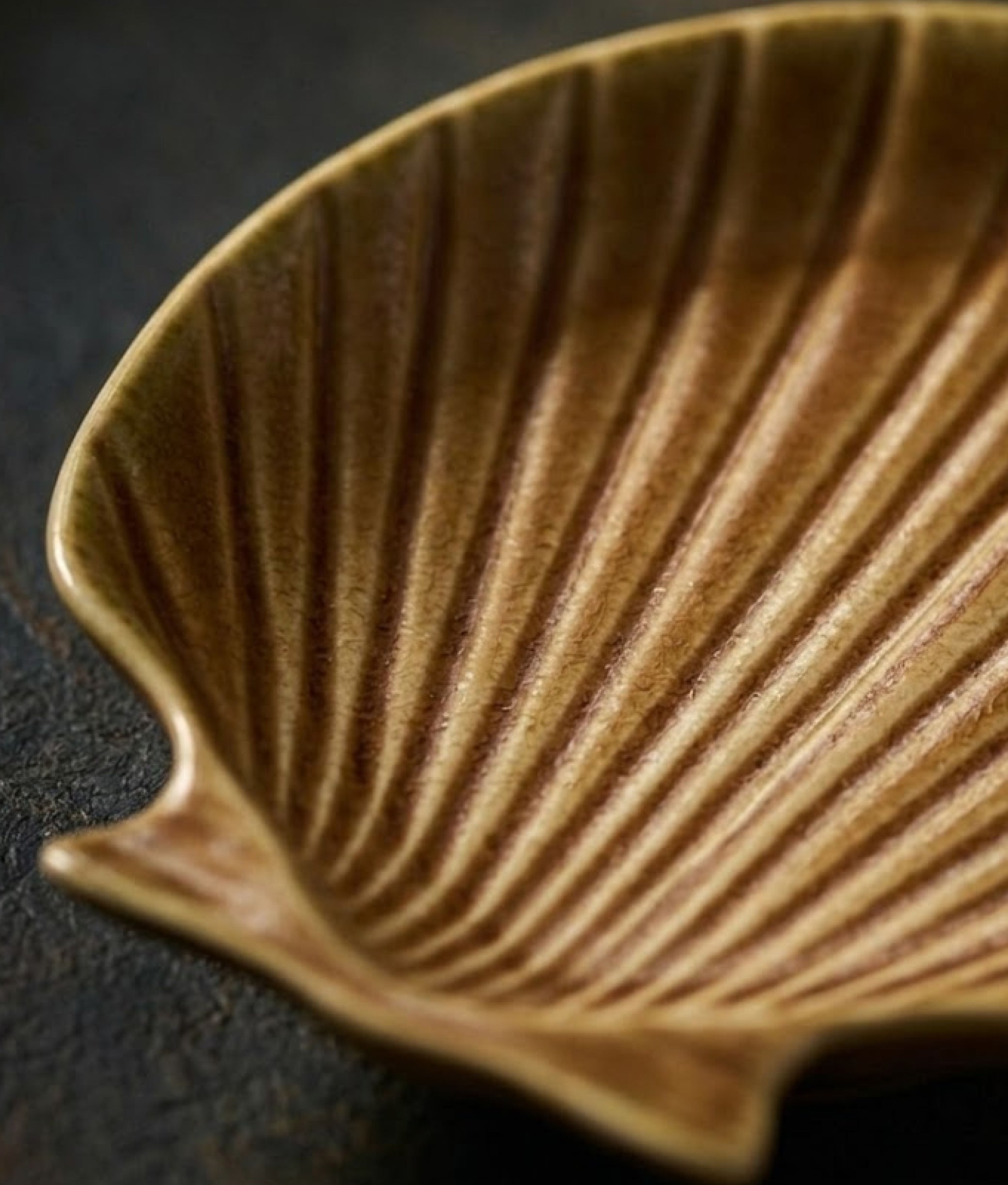 Orange Stoneware Sea Shell Tray Medium