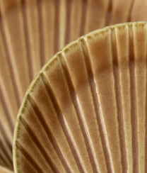 Orange Stoneware Sea Shell Tray Medium