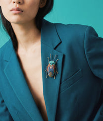 Snowdon Beetle Brooch