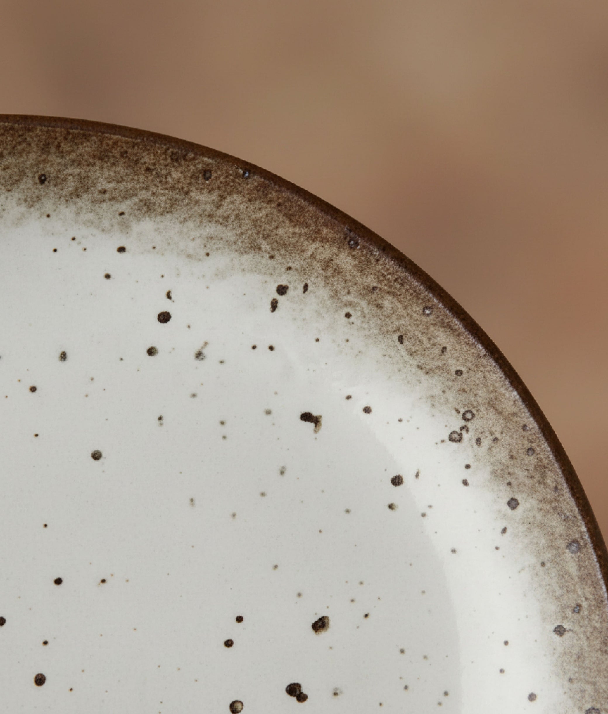 White Brown Stoneware Dinner Plate