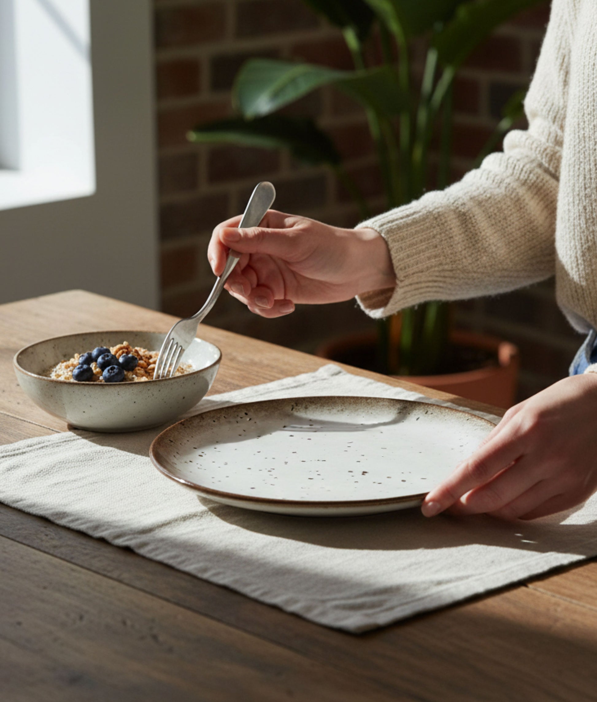 White Brown Stoneware Dinner Plate