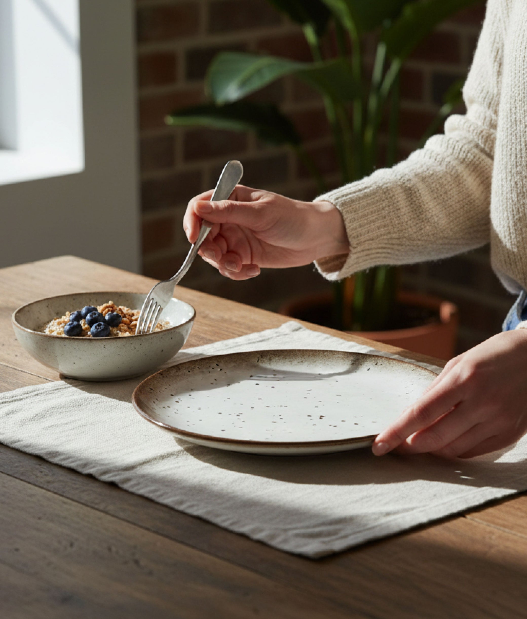 White Brown Stoneware Dinner Plate