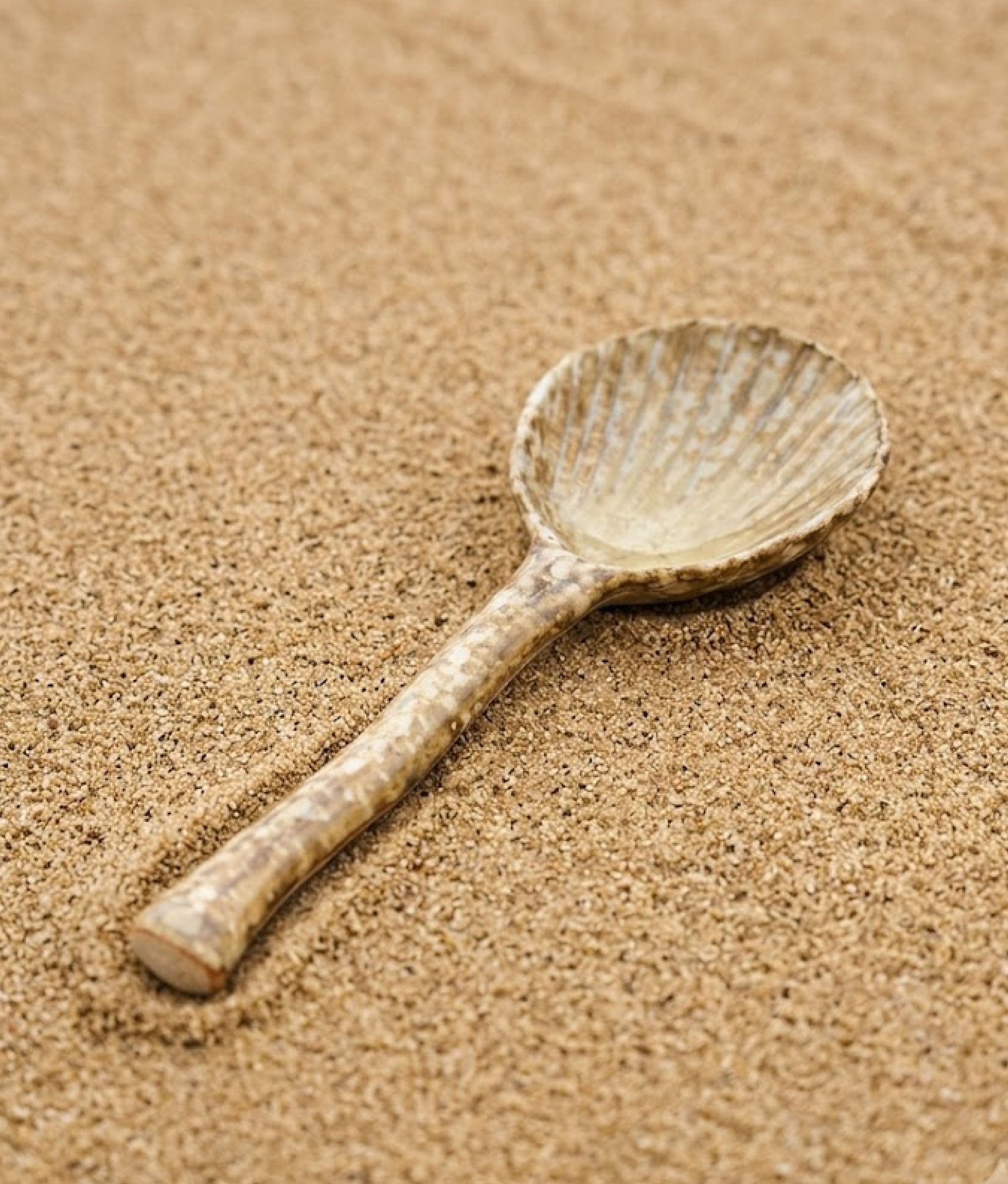 Brown Shell Stoneware Serving Spoon