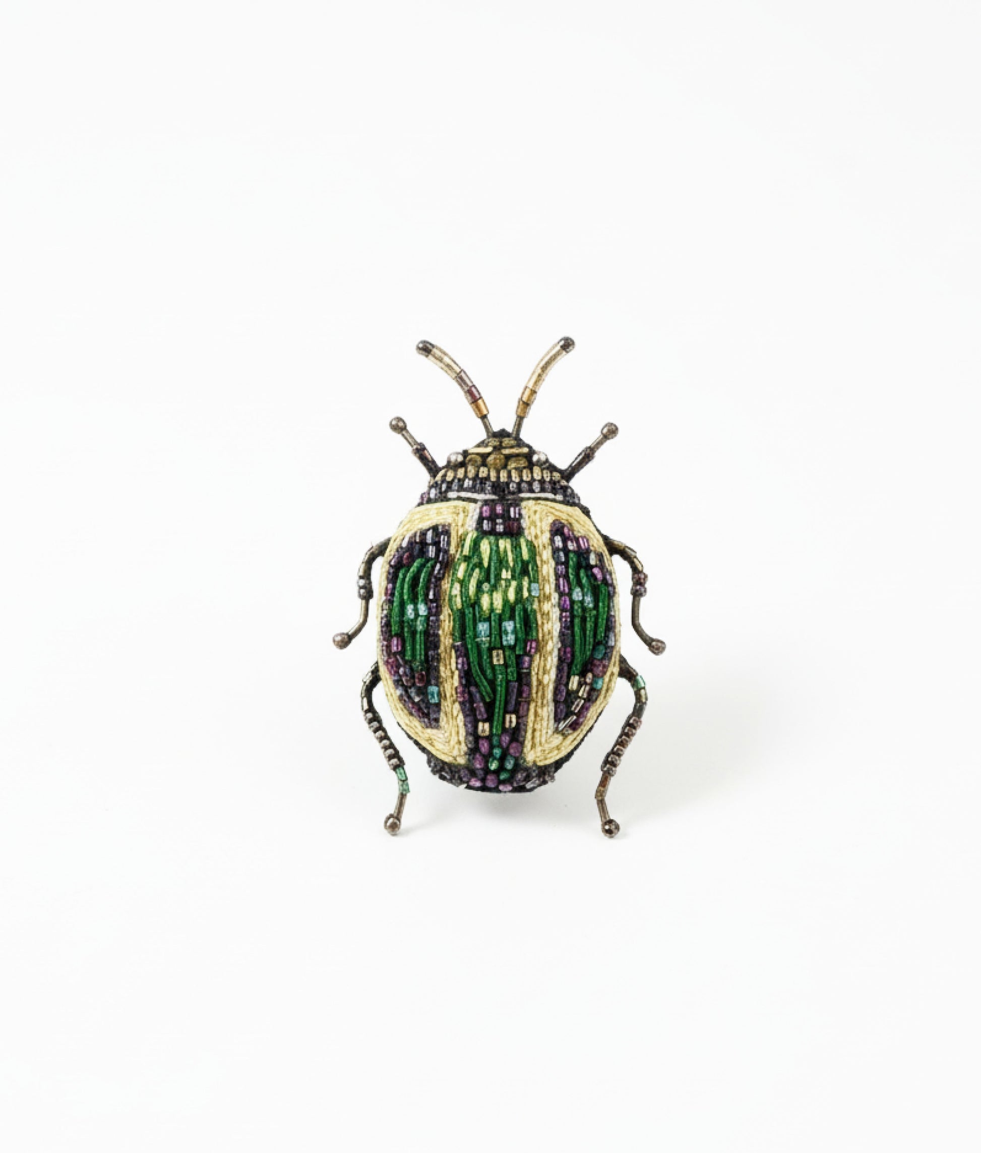 Tortoise Beetle Brooch