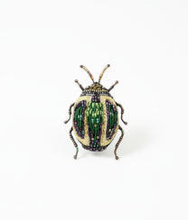 Tortoise Beetle Brooch
