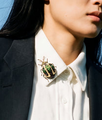Tortoise Beetle Brooch