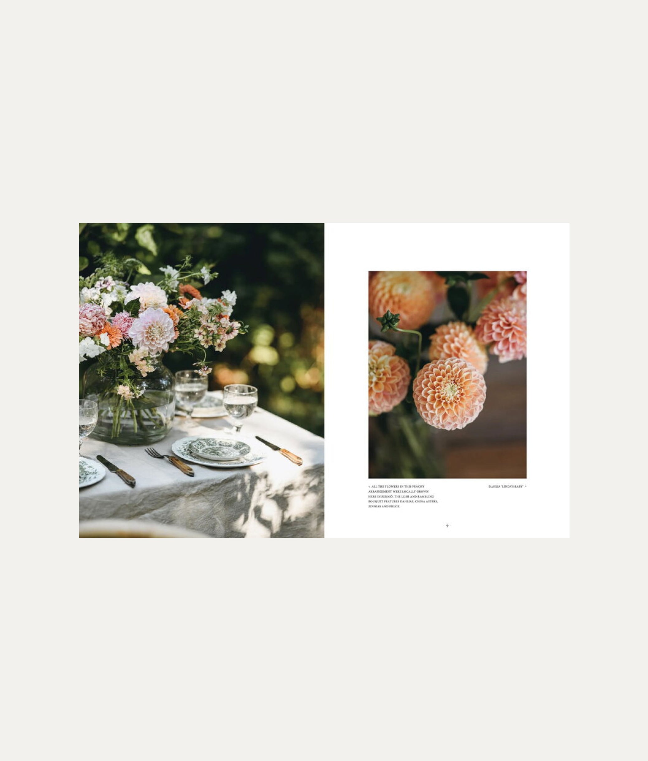 Where Flowers Bloom Book