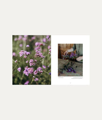 Where Flowers Bloom Book