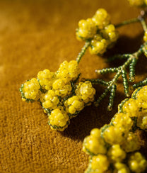 Yellow Mimosa Earrings