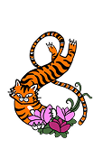 Tiger grabbing a flower ampersand